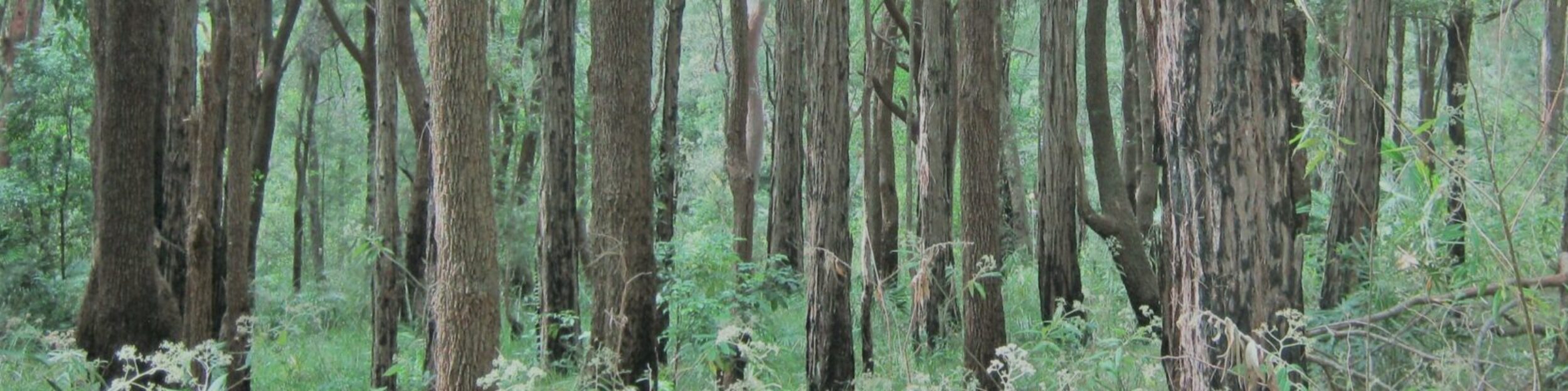 Peninsula Environment Group